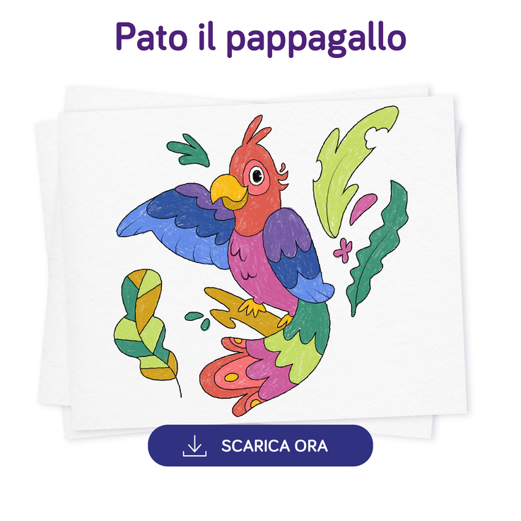 Pato il pappagallo